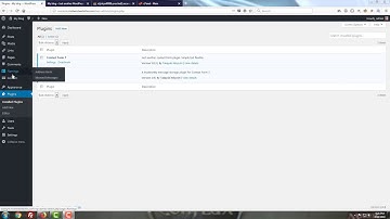 How to Use the Flamingo plugin - an Addon for Contact Form 7