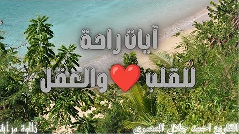 ايات تحذيرية للقلب❤️والعقل 🧠تلاوة قصيرة مرأية/القارئ احمد جلال المصري