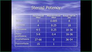 UofL Endocrinology Grand Rounds: Dr. Paul Hiers