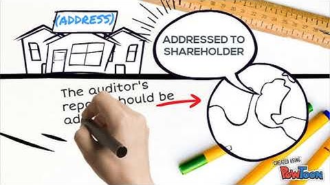 AUDIT BASIC ELEMENT OF AUDITOR REPORT 2