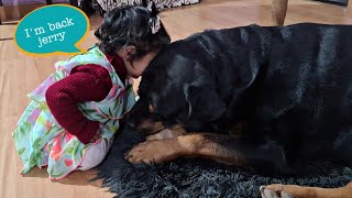 dog meets baby after a long time | dog meet baby | funny dog videos |