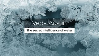 Veda Austin: The Secret Intelligence of Water screenshot 5