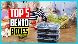 Top 5 Best Bento Boxes For Adults  Kids in 2026