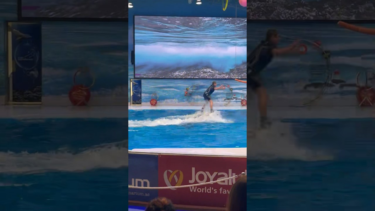 Man on 2 Dolphin at Dubai Dolphinarium #dubai