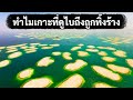 เกาะหรูหราในดูไบถูกทิ้งร้าง นี่คือเหตุผลว่าทำไม