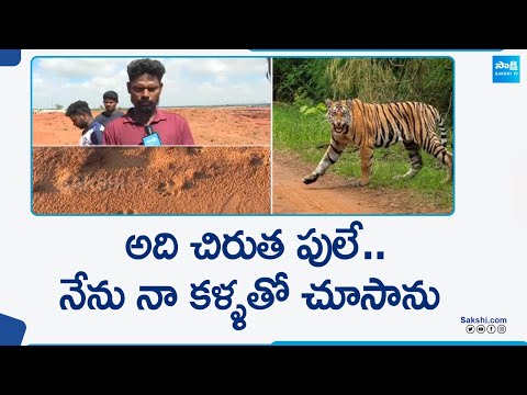 అది చిరుత పులే.. Tiger Hulchul in Bhogapuram Vizianagaram District @SakshiTV - SAKSHITV