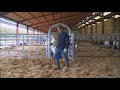 Vidéo: AVANT JOURDAIN EX4 PASSAGE ANIMAL AVEC PORTILLON