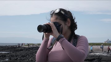 Expedition Galápagos: Unlock the potential of environmental storytelling