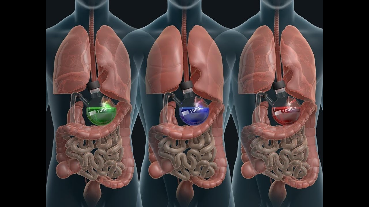 Recover from gut disease and simple daily unclogging method.