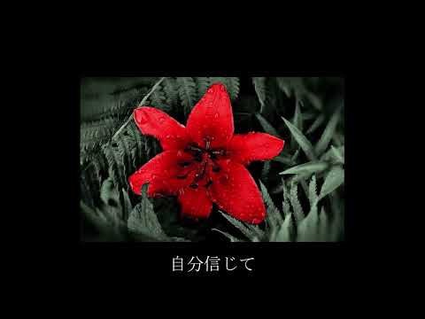 【オリジナル】枯れない花 【ROSE＆リリィ】from.謳歌七武界