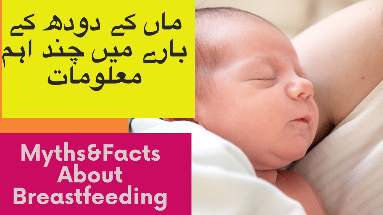 Breastfeeding Myths And Facts YouTube