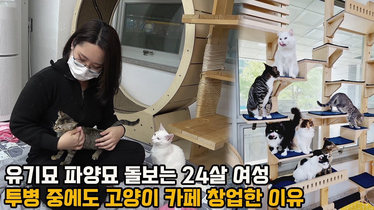 15마리 고양이 돌보는 24살 청년이 투병 중에도 카페 창업하고 알바까지 뛰는 이유