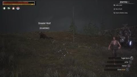 Conan Exiles - Wolf Has Zoomies