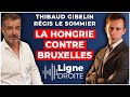 La stratgie hongroise pour rsister  lunion europenne  thibaud gibelin et rgis le sommier