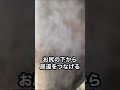 牛の大手術【尿路結石】