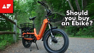 Do People Even Need a Cargo EBike? /// Hovsco Hovcart Review