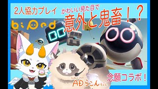【#biped】2人で協力謎解きアクション！✨#新人Vtuber #ゲーム実況 #ADらこん #龍尾
