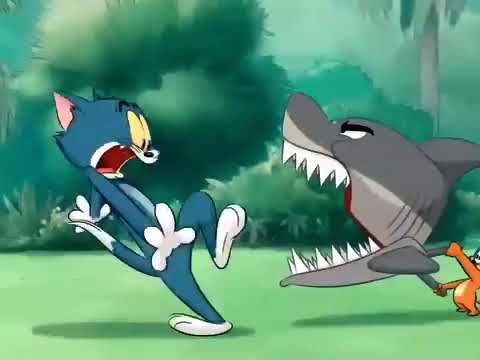 توم دائم ا مضحك رسوم متحركة مضحكة صور متحركة مضحكة أفلام كرتون قديمة