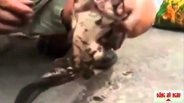 Câu cá trê khủng ngay dưới nắp cống thành phố