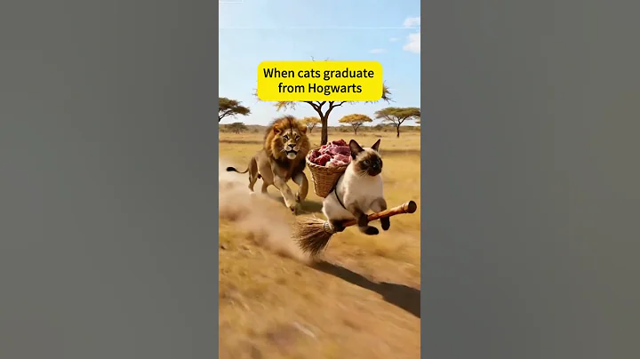 Video 11744021: siamese cat kitten cutecat, siamese cat funny kitten