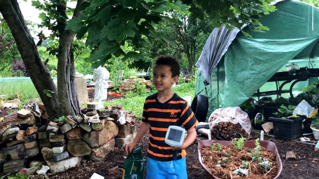 Solar Mole Chaser Review-Deer by Stefan//Campbell’s Freedom Farm