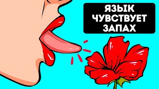 13 частей тела, которые были обнаружены совсем недавно