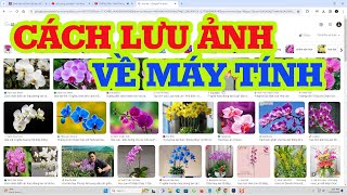 Cách Lưu Ảnh Về Máy Tính Đơn Giản Dễ Làm screenshot 3