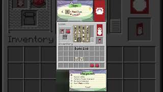 Fifa Tunisian Flag 🇹🇳 #minecraft #minecraftbanner #minecraftguide #tutorial #fifa #fifaworldcup2026