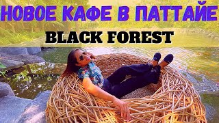 Новое кафе ресторан Black Forest. Куда сходить и что посмотреть в Паттайе. Паттайя сегодня 2021