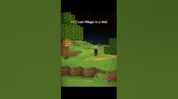 Minecraft Last Pillager in a Raid Moment