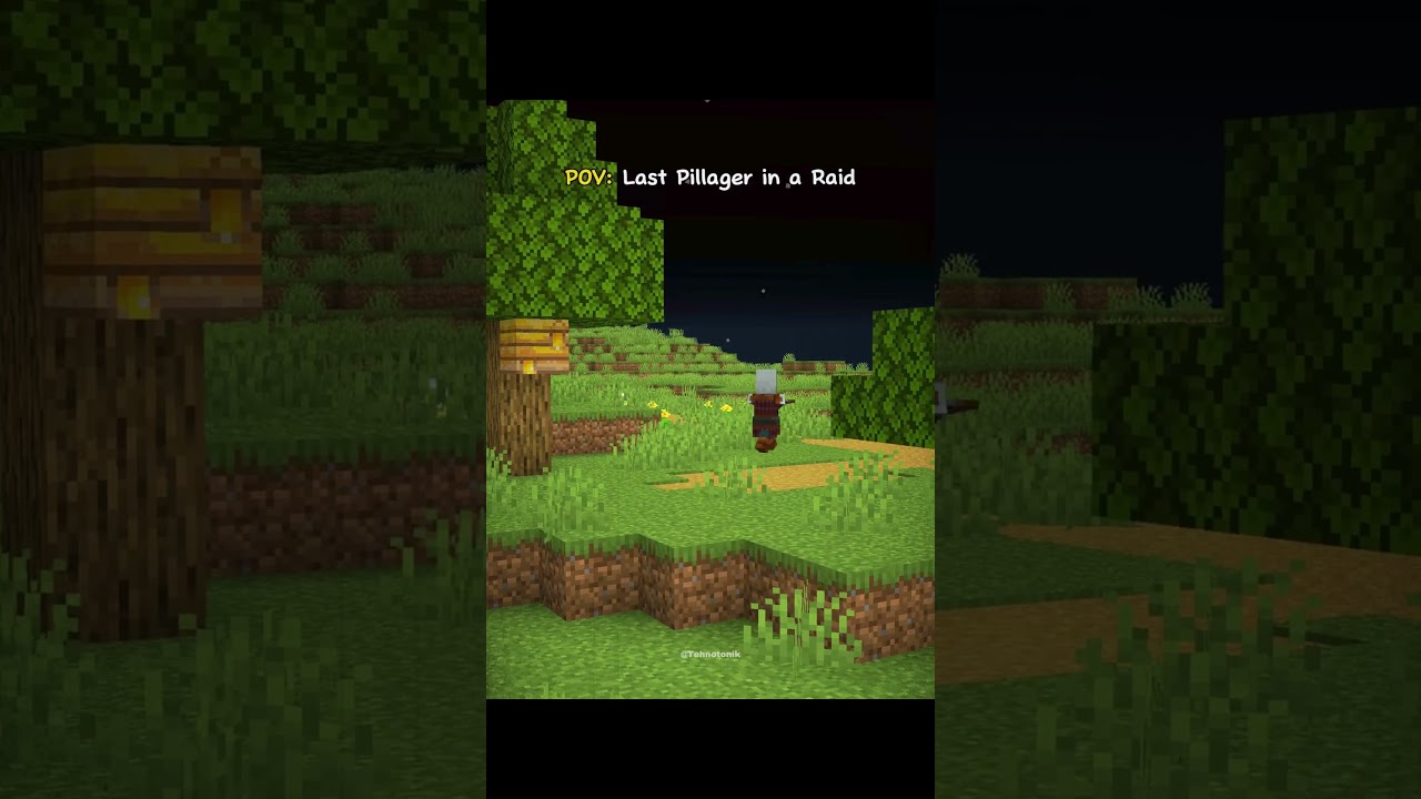 Minecraft Last Pillager in a Raid Moment