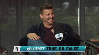 celebrity True Or False With David Boreanaz  The Rich Eisen Show  5119