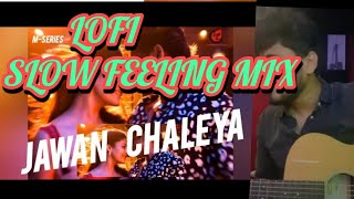 CHALEYA JAWAN SLOW LOFI MIX||CINEMATIC chaleya song MIX