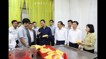 NGHIÊN CỨU, ỨNG DỤNG THÀNH TỰU KHOA HỌC CÔNG NGHỆ VÀO SẢN XUẤT, CHẾ BIẾN NÔNG SẢN CHỦ LỰC CỦA TỈNH