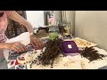 Kuruyan tohumları guruplandırıp yerleştirme 