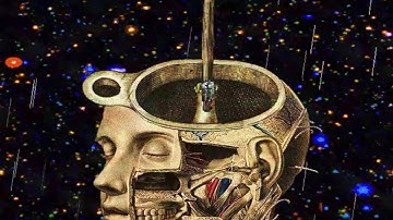 Tripping Balls - Middens Episode 1