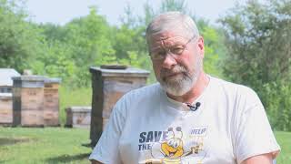WBNG tracking bees 2019