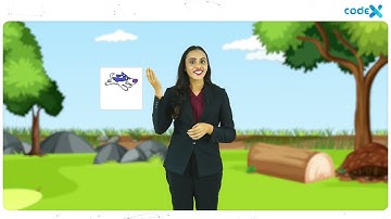 THE JUMPING RABBIT Game | Scratch Sr.| Part 04 | Codex Coding For Kids #freelearning #codingforkids