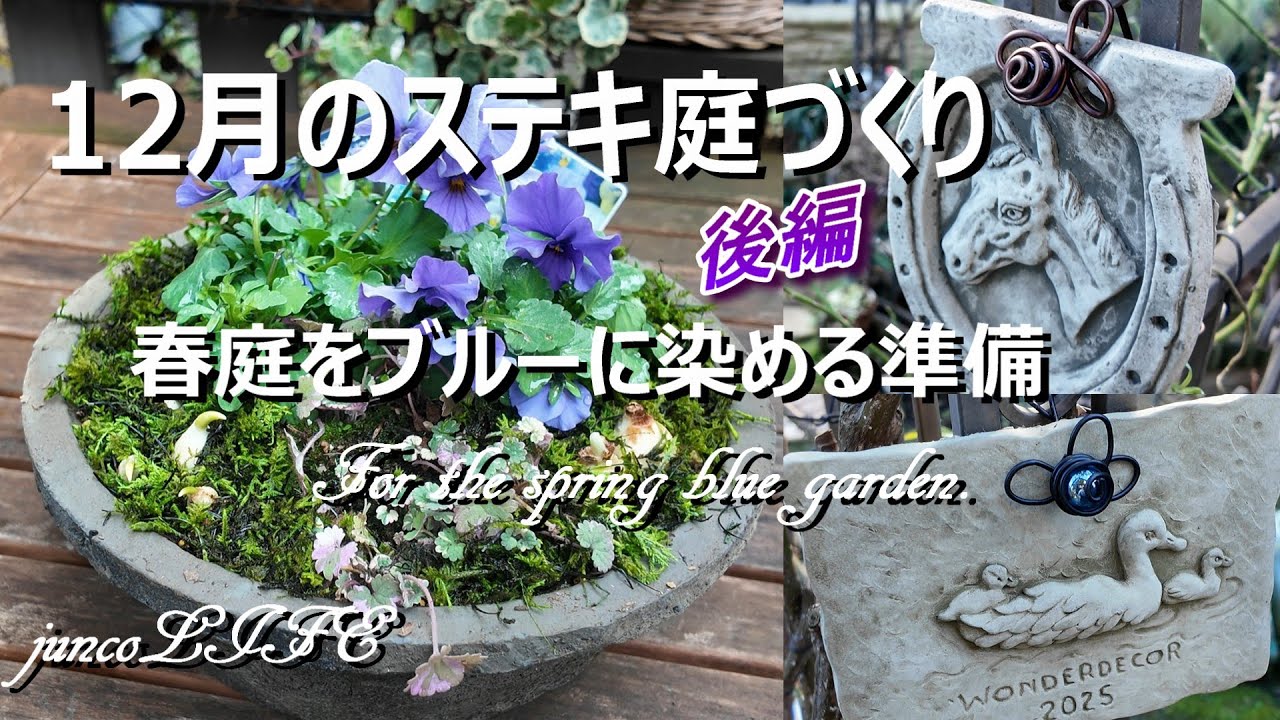 青花をいっぱい植えて来春もブルーガーデンに＊ワンダーデコールさんのプレートを飾る＊猫ちゃん