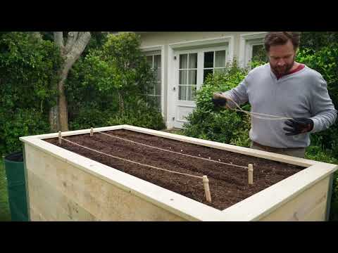 Take Your Winter Gardening to New Heights 🌿 | How to Build a Raised Garden Bed