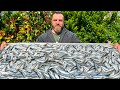 The Best Sprats Cooked at Home! Recipe for natural canned fish