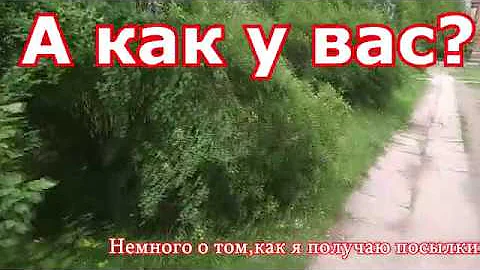 Какие посылки приходят в почтовый ящик