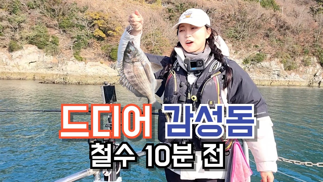 4짜가 몇마리 나오는거야??