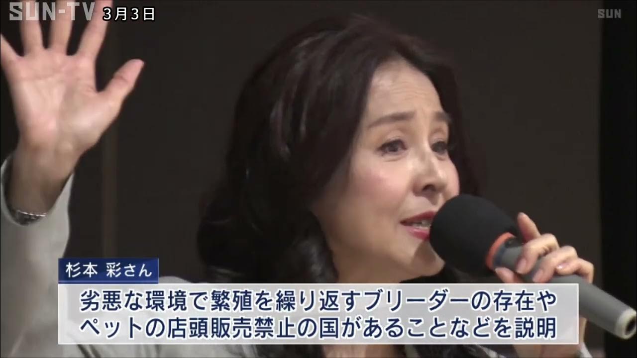 人権も「わん権」も尊重して　尼崎・保護犬シンポジウムに杉本彩さんら登壇