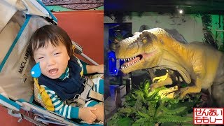 せんももあいしーch Sen Momo Ai Shii المغرب Vlip Lv