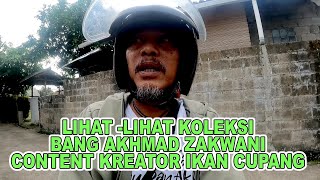 Download Lagu KABAR BANG AWAN RUMAH CUPANG MP3
