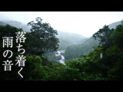 【優しい雨の音と神の滝】西表島の雨の音を聞き流すだけで心身がリラックス&浄化されエネルギーチャージ&大自然グラウンディングできる癒し波動のパワースポット自然音【睡眠 ヒーリング 集中 瞑想 勉強】