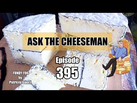 🔴 Ask The Cheeseman #395