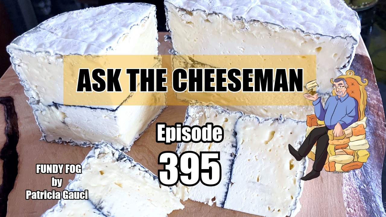🔴 Ask the Cheeseman #395