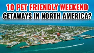 Pet Friendly Weekend Getaways in North America 2024